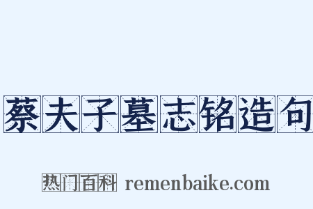 蔡夫子墓志铭造句是什么意思的图片
